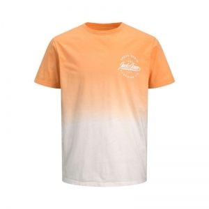 SHELL CORAL