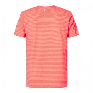  FIERY CORAL