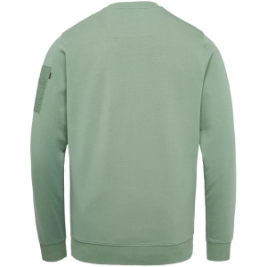  HEDGE GREEN