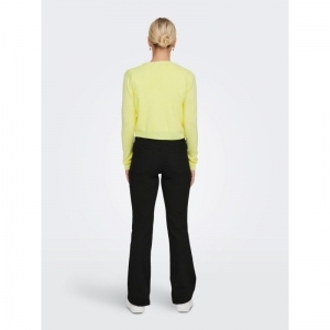  SUNNY LIME