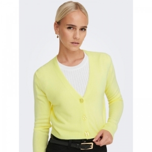  SUNNY LIME