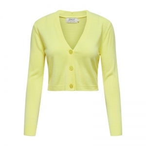  SUNNY LIME