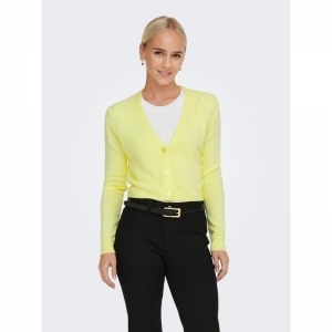  SUNNY LIME
