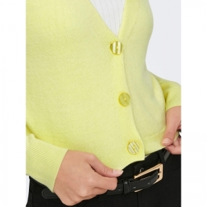  SUNNY LIME