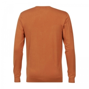  DESERT ORANGE