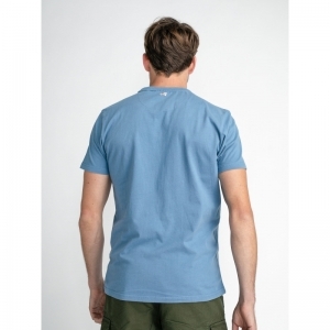 CORONET BLUE