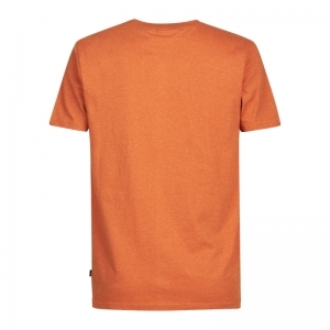  DESERT ORANGE