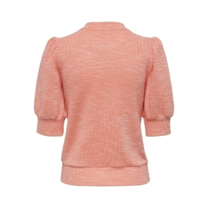  APRICOT