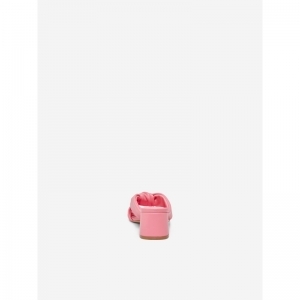  PINK CARNATION