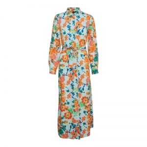  LIMPET SHELL