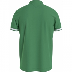 COASTAL GREEN