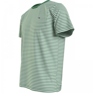 COASTAL GREEN