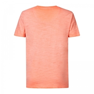  FIERY CORAL