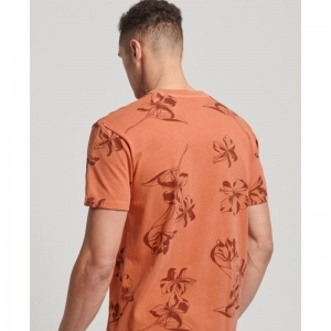  MANGO ORANGE OV