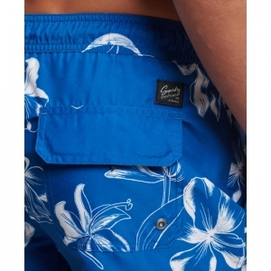  MONO HIBISCUS C