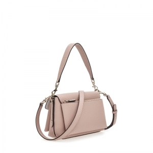 HWEVG839019 ASR ASH ROSE