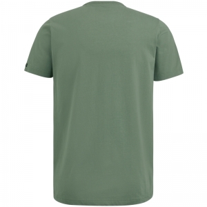  AGAVE GREEN