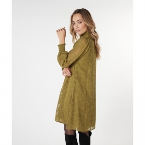  OLIVE