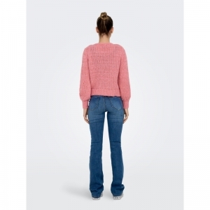  PINK LADY