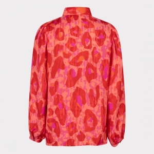  CORAL