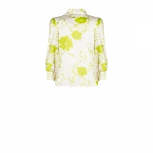  VAR LIME