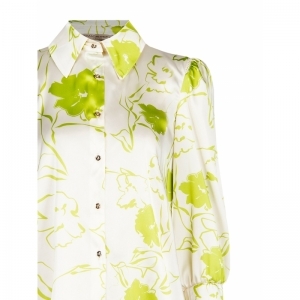  VAR LIME