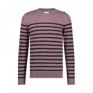AUBERGINE