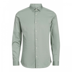 ICEBERG GREEN