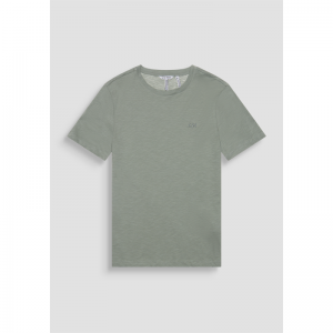  AGAVE GREEN
