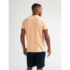 TROPICAL ORANGE