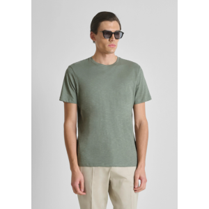 AGAVE GREEN