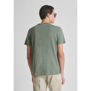 AGAVE GREEN