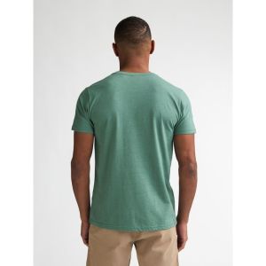 OIL GREEN