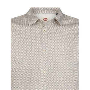  SADDLE BROWN