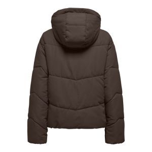  CHOCOLATE BROWN