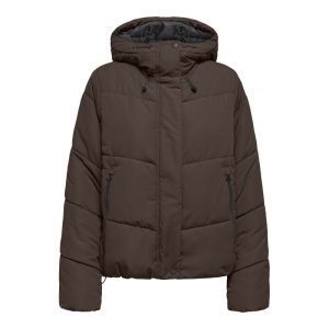  CHOCOLATE BROWN